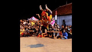 Download lagu Bocil Ganongan Reog Singo mudho taruno joyo mojokerto #reog #bujangganong #peacock mp3