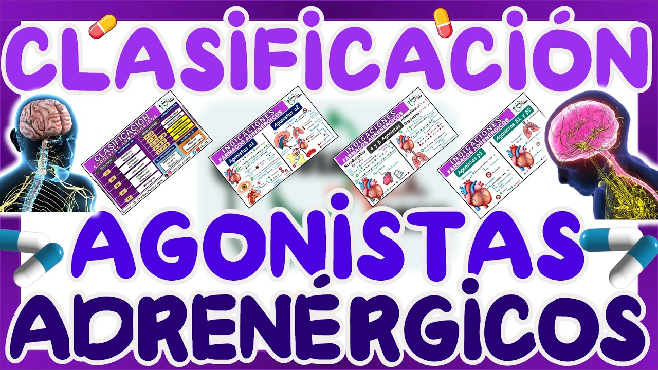 AGONISTAS ADRENÉRGICOS CLASIFICACIÓN COMPLETA | GuiaMed