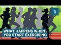 What Happens To Your Body When You Start Exercising Regularly | The Human Body