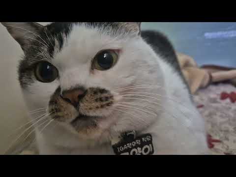 오랜만에 고씨 보러옴!