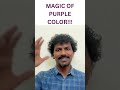 Magic Of Purple Color