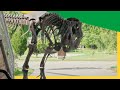 Dex And Kayla S Dino Experiments Rocks Dinosaurs And New Friendships Dino Dex DinoKids