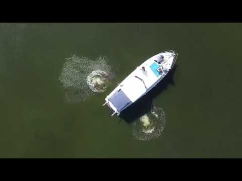 Princess Yachts PRINCES 32, яхты / катера