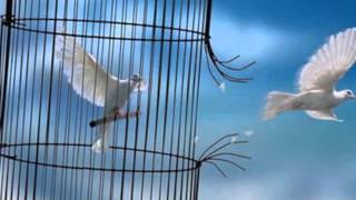 alphaville soul messiah