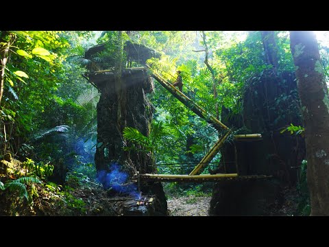 Solo Bushcaft: 22 days to build a house on top of a rocky mountain. 365 days survival in the forest.