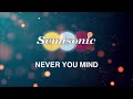 Semisonic - Never You Mind