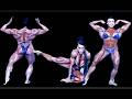 FBB Denise Masino 2004 Ms International