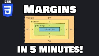 Learn CSS margins in 5 minutes! ↔️
