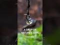 November 7 2023 Nature Oregon Drops