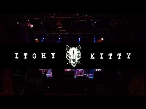 Itchy Kitty live at Real Art Tacoma 2021