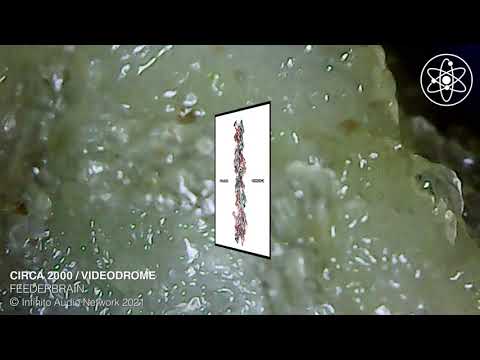 Circa 2000 - FEEDERBRAIN