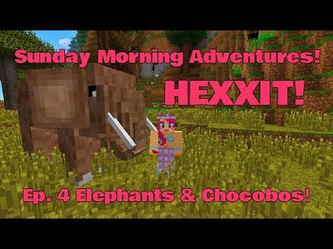 Sunday Morning Adventures! Hexxit Ep.4 Elephants & Chocobos!  | Amy Lee33
