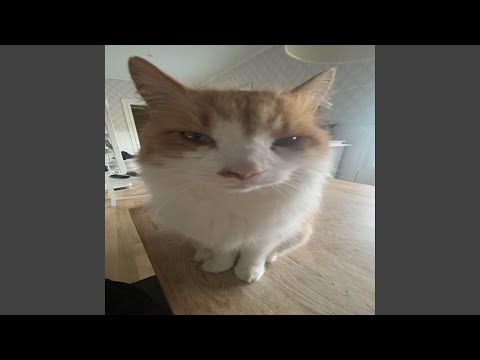 Christian Dior Denim Flow