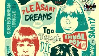 Ramones - Bumming Along (Subtitulado en Español)