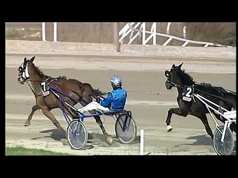 Napoli Trotto 05/02/2021 - 2ª corsa