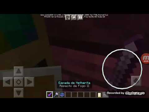 O   CAVALO     DO     MEU    AMIGO