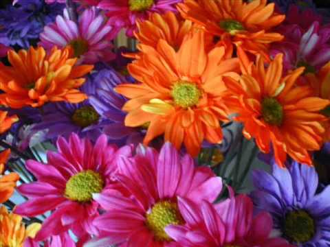 Ramo De Flores video