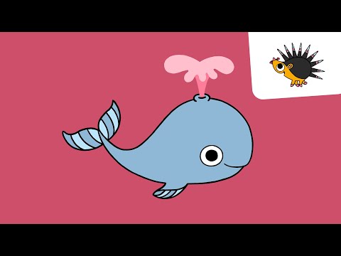 Whale | I know an animal
