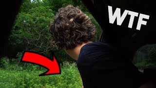 PET FALLS OUT CAR WINDOW