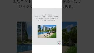コンドミニアムってどんなかんじ❓