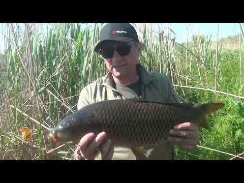 Mini Emisiunea 2 pe net In Carlig - Pescuit la balta Tataru, judetul Calarasi