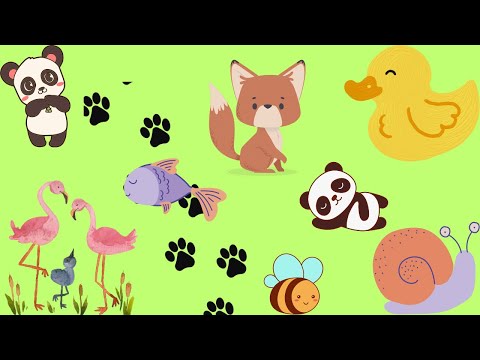 Hayvanları öğren / Hayvanları öğreniyorum / Hayvanları öğrenme / Hayvanları öğreniyoruz .