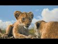 Mufasa The Lion King Kiara Meets Her New Brother I 4K Ultra HD