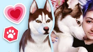 making my real pet the sims 4 cats amp dogs