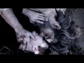 Alexander ebert - Truth (subtitulos en español)