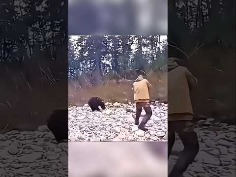Охотник не мог поверить, насколько силён этот медведь! 🐻😨 #oxota #chase #wildbear #hunting