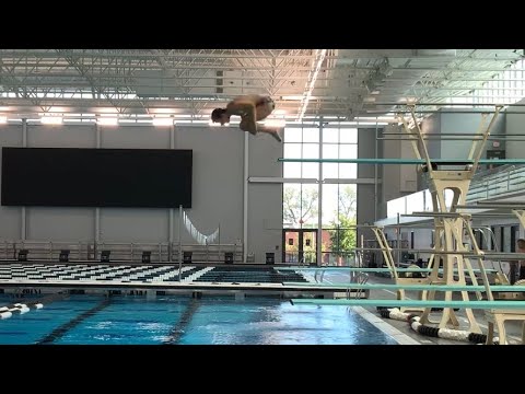 101c Front Dive Tuck 1m Springboard 1.2