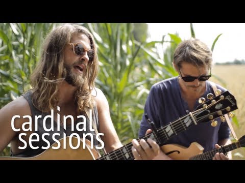 Mighty Oaks - The Great Northwest - CARDINAL SESSIONS (Appletree Garden Special)