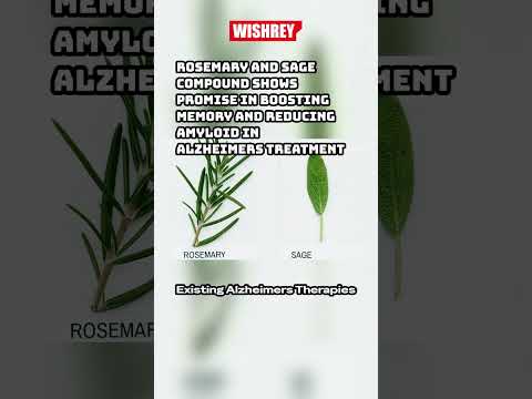 Promising Potential of diAcCA in Alzheimer's Treatment #shorts #Alzheimers