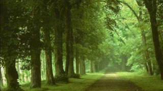 Sherwood - Song in My Head