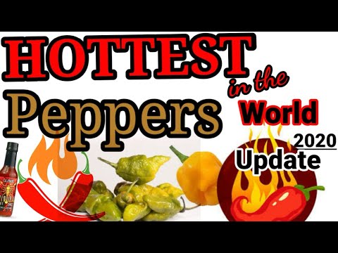 Top 10 Hottest Peppers in the World 2020 |Hottest Chili Peppers |Pinas_GoodTV