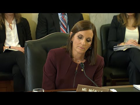 Sen. Martha McSally, the first female fighter pilot to fly in combat, said Wednesday that she was raped in the Air Force by a superior officer. She made the disclosure at a Senate hearing on military sexual assault. (March 6)