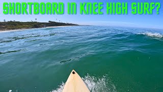 I Tried Riding a Shortboard in Knee High Surf🏄♂️