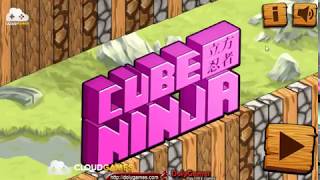 Cube Ninja Gameplay - Play Free at DolyGames