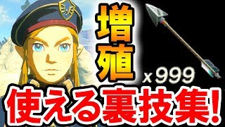 ゼルダの伝説 Botw 最強の装備が無限に増える 武器も盾も好きなだけ増やせるバグ技 ゼルダの伝説 ブレス オブ ザ ワイルドの攻略動画 تنزيل الموسيقى Mp3 مجانا