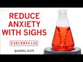 Reduce Anxiety & Stress with the Physiological Sigh | Huberman Lab Quantal Clip