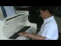 Poor Mister Gray by Jason Lee - Jessica Lee Poor Mister Gray by Jason Lee