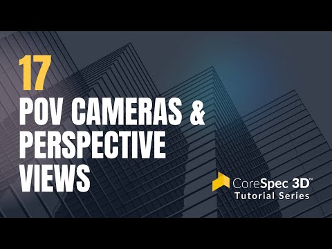 POV Cameras