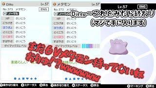 ６Vメタモンを絶対に手に入れる方法【ポケモン剣盾】
