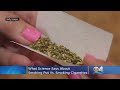 Here S What Science Says About Smoking Pot Vs Smoking Cigarettes