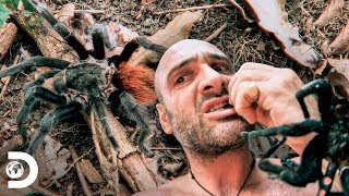 Comer o morir: Las comidas más raras y extremas | Desolado con Ed Stafford | Discovery Latinoamérica