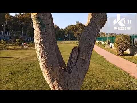 NASEEM BAGH || نسیم باغ