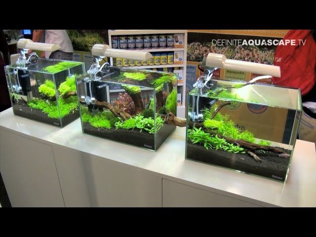 Aquascaping - Aquarium Ideas from Aquatics Live 2011, part 1