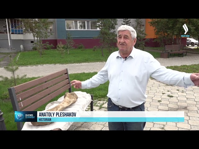 На севере Казахстана археологи нашли кость мамонта возрастом 15 тысяч лет