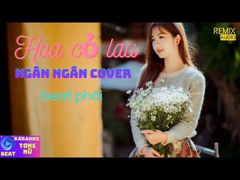 [KARAOKE] HOA CỎ LAU - PHONG MAX | NGÂN NGÂN COVER (beat phối)