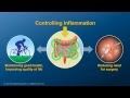 Chronic Inflammation in IBD and How Anti-TNF Therapy Works